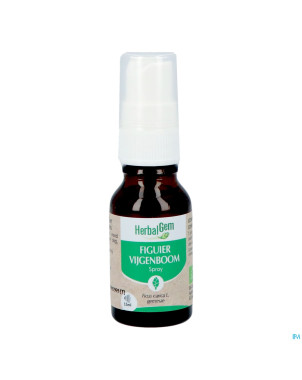 Herbalgem figuier bio spray    15ml