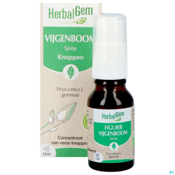 Herbalgem figuier bio spray    15ml