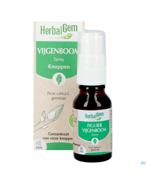 Herbalgem figuier bio spray    15ml