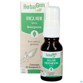 Herbalgem figuier bio spray    15ml
