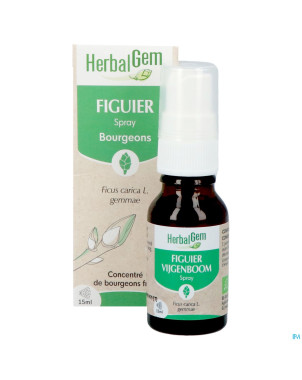 Herbalgem figuier bio spray    15ml