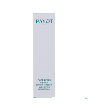 Payot pv pate grise stylo 2en1 a/imperfections 6ml