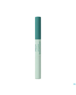 Payot pv pate grise stylo 2en1 a/imperfections 6ml