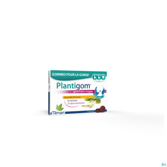 Plantigom    gommes 24 nf