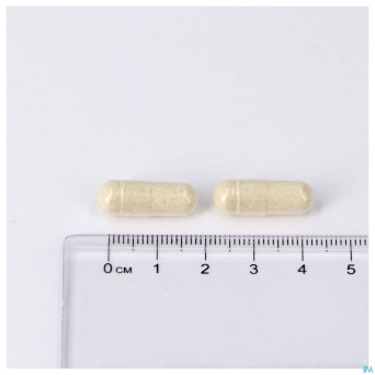 Enzyvits v-caps 60 lepivits