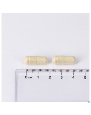 Enzyvits v-caps 60 lepivits