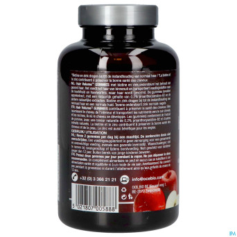 New nordic hair volume    gommes 60