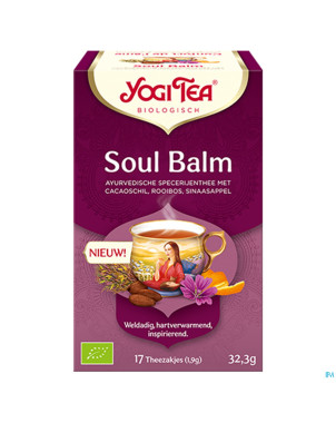 Yogi the soul balm bio    sach 17