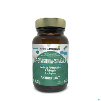 Lacto fermentee gynostemma astragale    caps 60