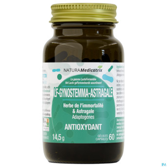 Lacto fermentee gynostemma astragale    caps 60