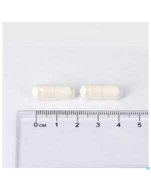 Collagen marin caps 650 lepivits