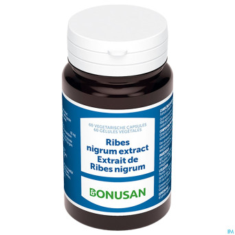 Ribes nigrum extrait    caps 60 bonusan