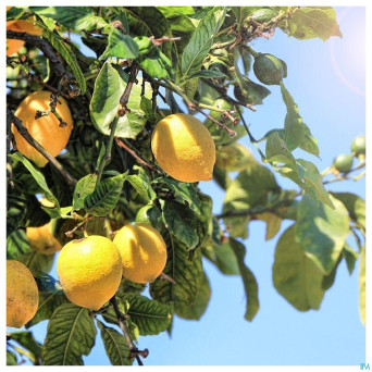 Acorelle jardin des thes eau parfum 50ml