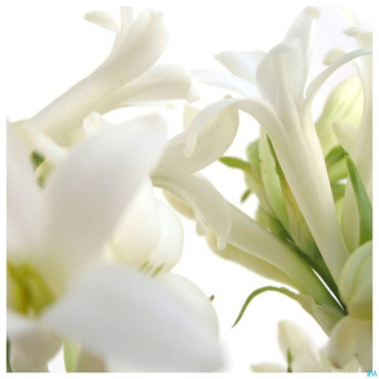 Acorelle sublime tubereuse eau parfum 50ml