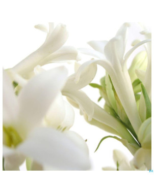 Acorelle sublime tubereuse eau parfum 50ml