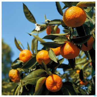 Acorelle sublime tubereuse eau parfum 50ml