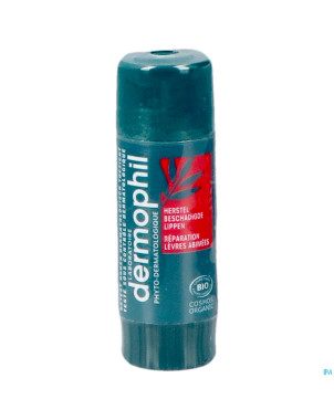 Dermophil reparation levres abimees    stick 4g