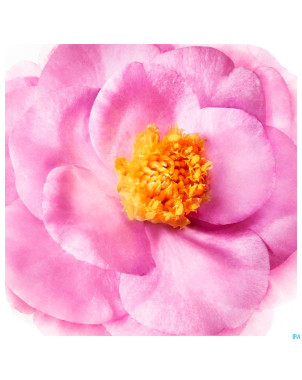 Nuxe hair le shampooing    200ml