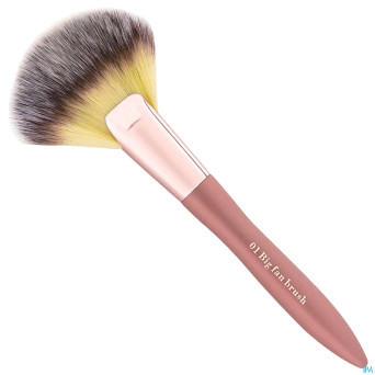 Cent pur cent 01 big fan brush