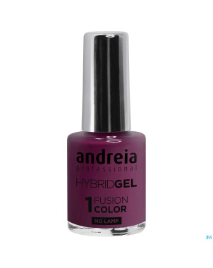 Andreia vao gel h80 aubergine    10,5ml