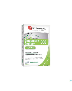 Gingembre 500 caps 30