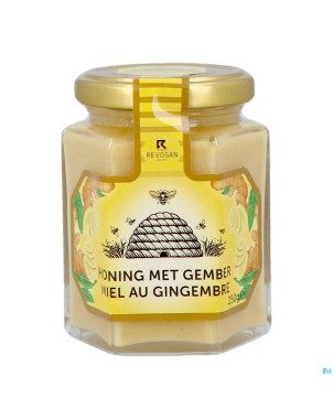 Revogan miel gingembre solide    250g 3074