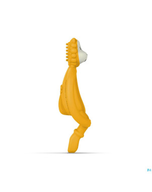 Matchstick monkey animal anneau dentition lion