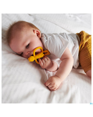 Matchstick monkey animal anneau dentition lion