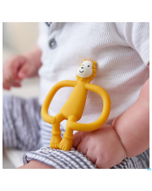 Matchstick monkey animal anneau dentition lion