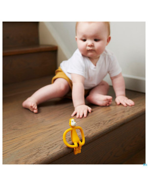 Matchstick monkey animal anneau dentition lion