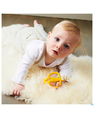 Matchstick monkey animal anneau dentition lion