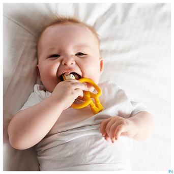 Matchstick monkey animal anneau dentition lion