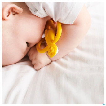 Matchstick monkey animal anneau dentition lion