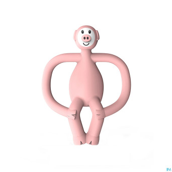 Matchstick monkey animal anneau dentition cochon