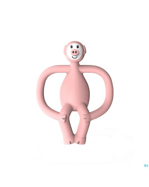 Matchstick monkey animal anneau dentition cochon