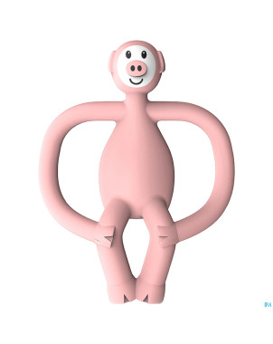 Matchstick monkey animal anneau dentition cochon