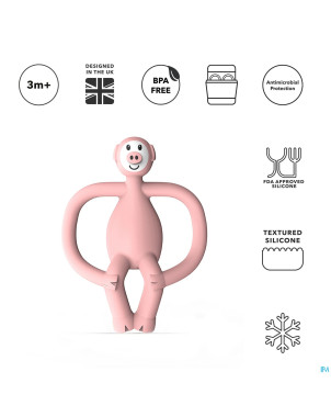 Matchstick monkey animal anneau dentition cochon