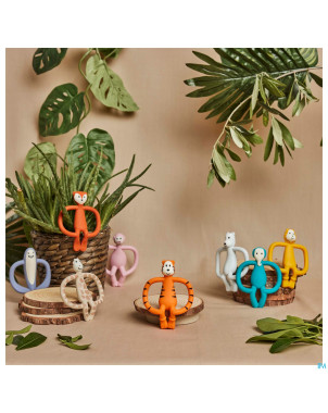 Matchstick monkey animal anneau dentition cochon