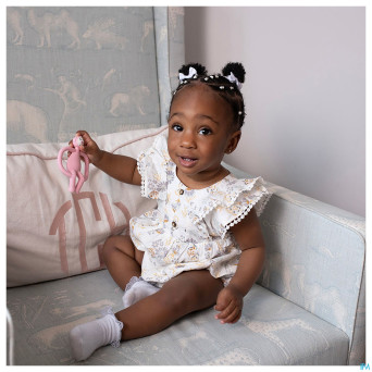 Matchstick monkey animal anneau dentition cochon