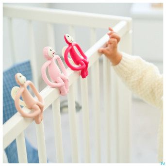 Matchstick monkey animal anneau dentition cochon