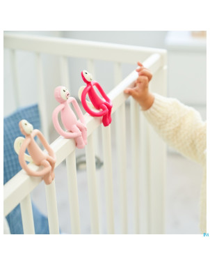 Matchstick monkey animal anneau dentition cochon