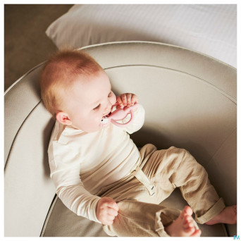 Matchstick monkey animal anneau dentition cochon