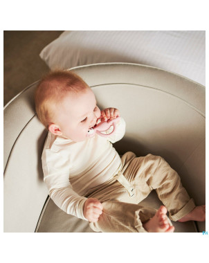 Matchstick monkey animal anneau dentition cochon