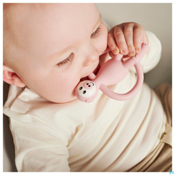 Matchstick monkey animal anneau dentition cochon