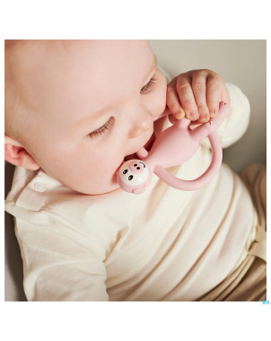 Matchstick monkey animal anneau dentition cochon