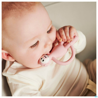 Matchstick monkey animal anneau dentition cochon