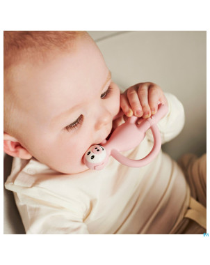 Matchstick monkey animal anneau dentition cochon