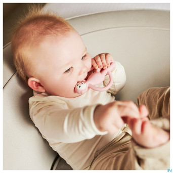 Matchstick monkey animal anneau dentition cochon