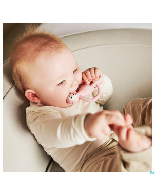 Matchstick monkey animal anneau dentition cochon