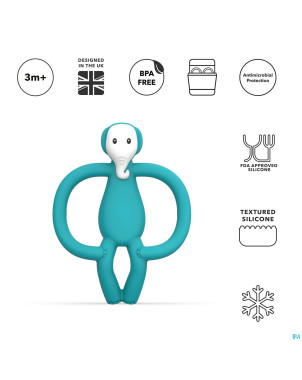 Matchstick monkey animal anneau dentition elephant